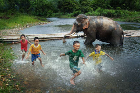 Unidentified youngs mahout enjoying splashing water with elephants in the forest at Kanchanaburi province in Thailand on May 24, 2015,のeditorial素材