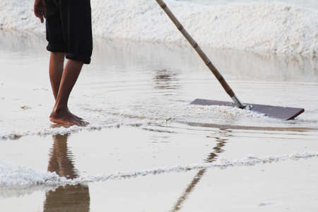 Workers lap salt In the naklua at Samut Songkhram province in Thailandの写真素材