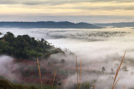 The beauty of the natural and the mist environment during sunrise and sunset at Khao Kho District ,Phetchabun Province in Thailandの写真素材
