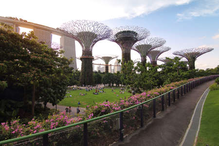 Singapore - July 30, 2017: Supertrees grove in Gardens by the Bay in Singapore center at Supertree Groveis is main Marina Bay Sands district very popular attraction for tourists.のeditorial素材