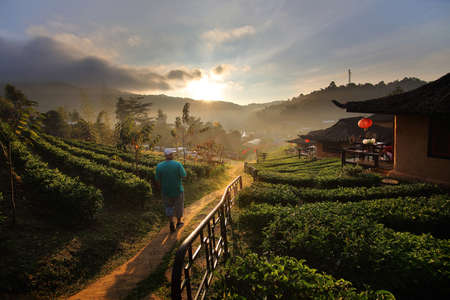 Beautiful scenery during sunrise at Chinese style village among Tea Plantation at Ban Rak Thai , Mae Hong Son in Thailand.This is a very popular for photographers and tourists. Attractions and natural Conceptの写真素材