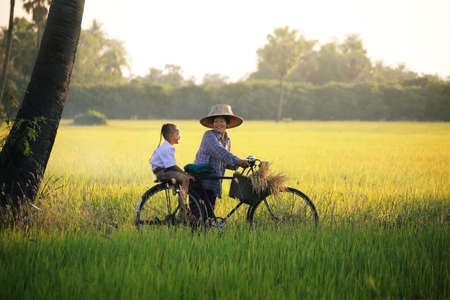 Happy moments with grandmother and grandson are cycling in the rice paddy countryside at Suphanburi Province in Thailand.の写真素材