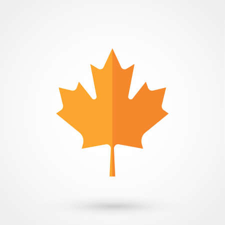 Simple maple leaf. Color symbol icon on white background. Vector illustrationのイラスト素材