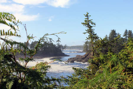 Wild pacific trail in Vancouver Islandの写真素材