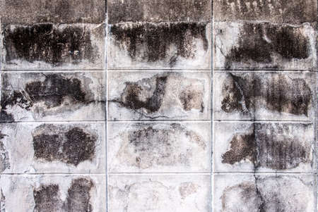 Bricks cement background Texture