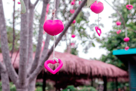 Pink heart decorations hang on green tree , valentine concept backgroundの写真素材