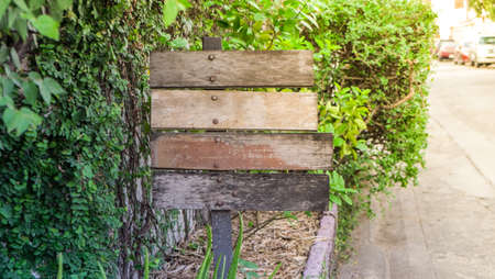 Wood old sign in the green garden ,sidewalk ,empty wooden signの写真素材
