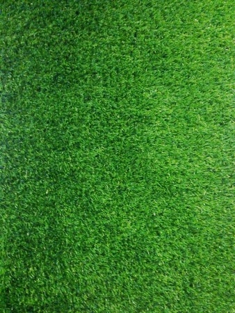 Green grass textureの素材