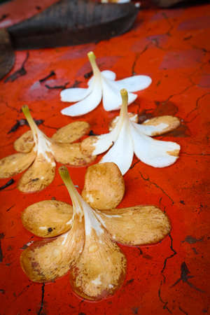 Flowers wilt の写真素材