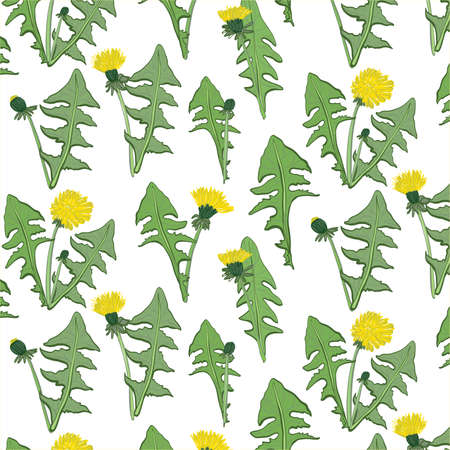 Dandelion flower patternのイラスト素材