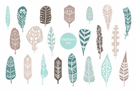 Animal feathers color graphic hand drawing vector setのイラスト素材