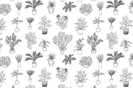 home plants vector graphic hand drawing patternのイラスト素材
