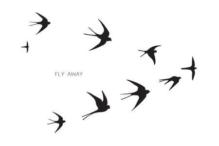 flock of birds silhouette swallow vector illustrationのイラスト素材