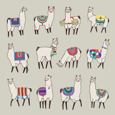 lama animal vector color setのイラスト素材