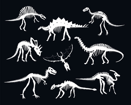 Dinosaur skeleton set. Silhouettes of dinosaurs. Vector illustrationのイラスト素材