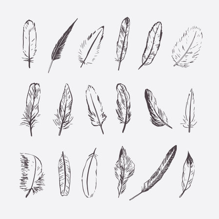 Seamless pattern with hand drawn feathers. Vector illustration in sketch style.のイラスト素材