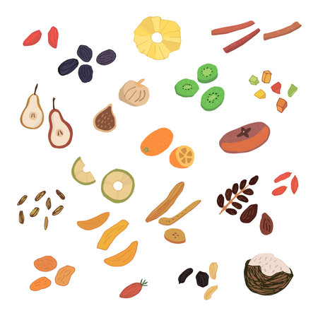 Dried fruits and berries. Vector illustration of nuts and seeds.のイラスト素材