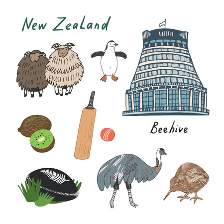 Vector set of different New Zealand emu, ostrich, kiwi, ostrich, rugby ball, baseball bat, rugby ball, cricket ball. Hand drawn isolated objects on white background.のイラスト素材