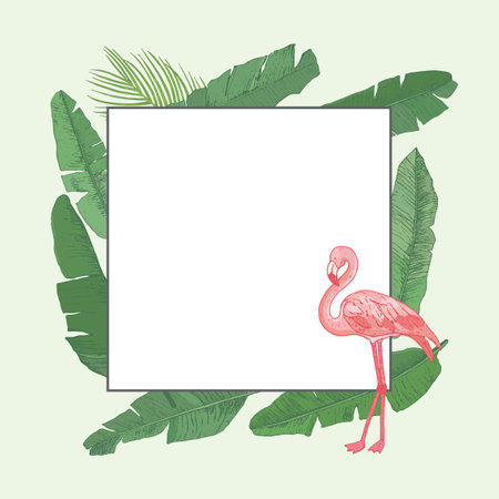 Tropical frame with flamingo and palm leaves. Vector illustration.のイラスト素材