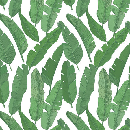 Seamless pattern with banana leaves. Hand drawn vector illustration.のイラスト素材