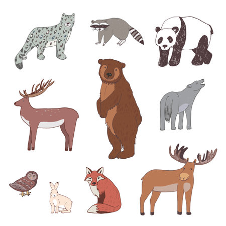 Set of wild animals. Vector illustration in doodle style.のイラスト素材
