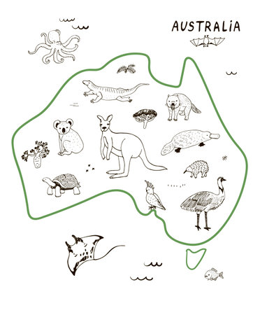 Animals of Australia. Hand drawn vector illustration on white background.のイラスト素材