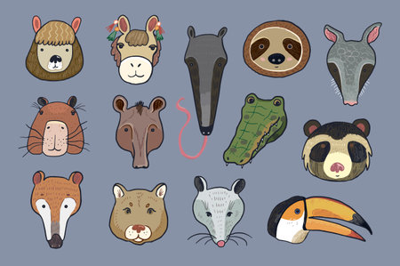 Collection of cute animals. Hand drawn vector illustration. Cartoon style.のイラスト素材
