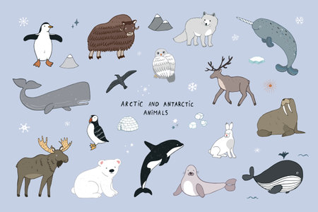 Vector set of cute cartoon animals. Polar bear, narwhal, antarctic bear, penguin, polar bear, snowman, moose, hare, whale.のイラスト素材