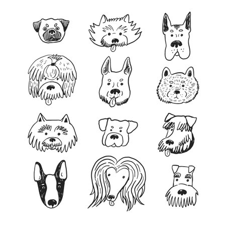 Set of hand drawn doodle dog heads. Vector illustration.のイラスト素材