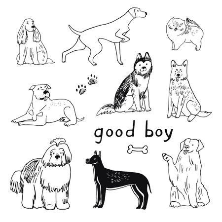 Vector set of hand drawn doodle dogs. Vector illustration.のイラスト素材