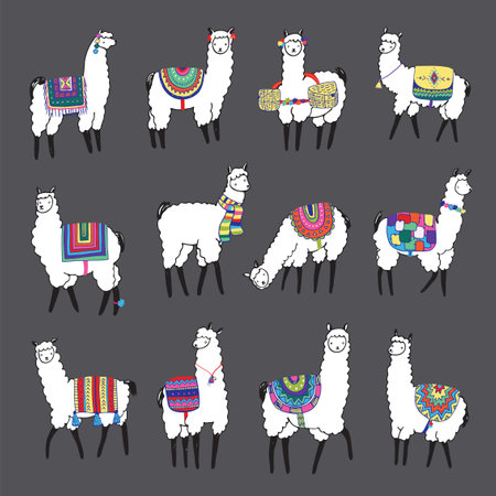 Llama collection. Cute cartoon alpaca. Vector illustrationのイラスト素材