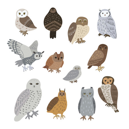 Set of cute cartoon owls. Vector illustration isolated on white background.のイラスト素材