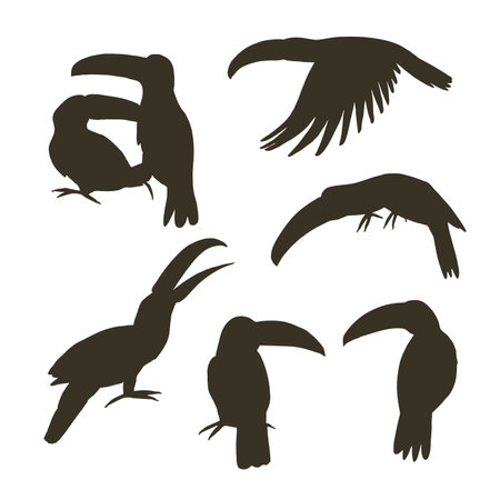 Toucan Bird Silhouettes Set. Vector Illustration.のイラスト素材
