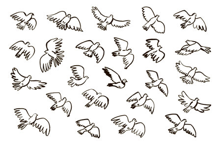 Set of hand drawn doodle flying pigeons. Vector illustration.のイラスト素材