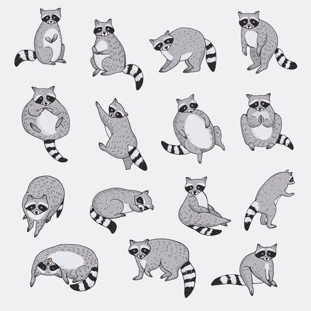 Set of cute cartoon raccoons with different poses. Vector illustration.のイラスト素材