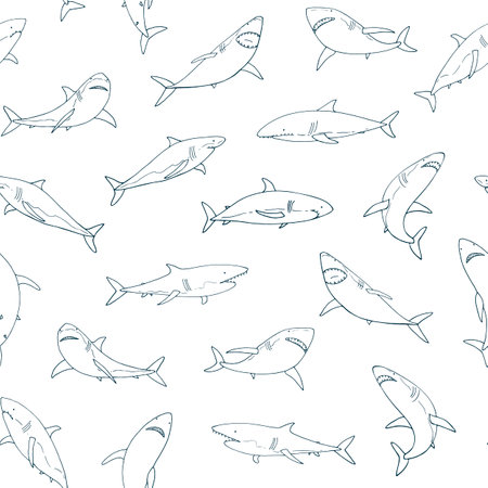 Seamless pattern with sharks on white background. Vector illustration.のイラスト素材