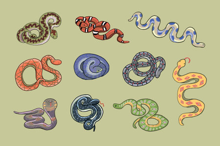 snakes in different colors on a green background. Vector illustration.のイラスト素材
