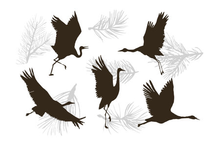 Set of silhouettes of cranes on a white background. Vector illustrationのイラスト素材