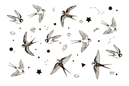 Vector set of hand drawn swallows and stars. Doodle style.のイラスト素材