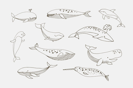 Collection of cute cartoon whales isolated on white background. Vector illustration.のイラスト素材