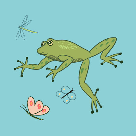 Frog, butterfly, dragonfly. Vector illustration of a green frog.のイラスト素材