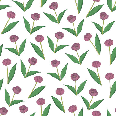 Seamless pattern with purple tulips on a white background.のイラスト素材