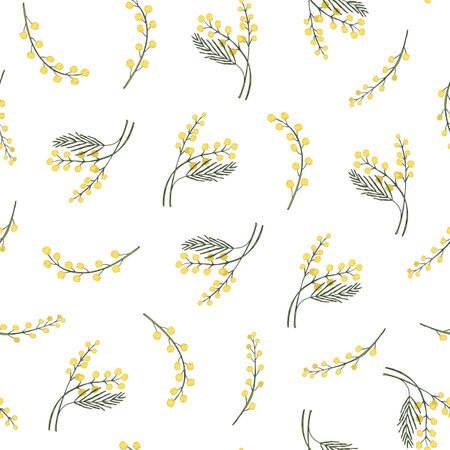Seamless pattern with yellow mimosa flowers on white background.のイラスト素材
