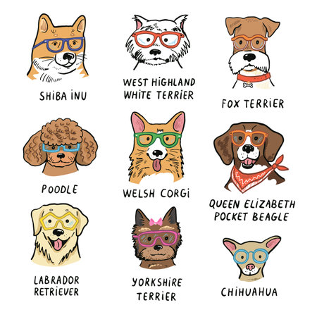 Vector set of hand drawn cartoon dogs in glasses. Vector illustration.のイラスト素材