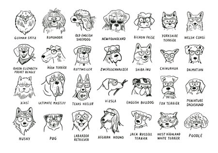 Set of cute dog breeds. Hand drawn vector illustration in sketch style.のイラスト素材