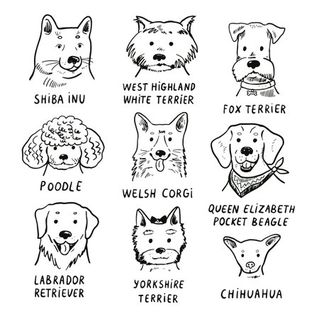 Set of hand drawn dogs. Vector illustration. Design elements for logo, label, emblem, sign, poster.のイラスト素材