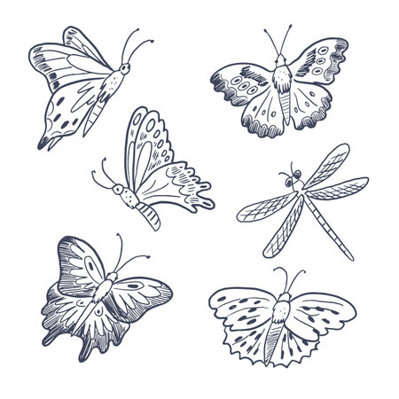 Set of hand drawn doodle butterflies. Isolated vector illustration.のイラスト素材