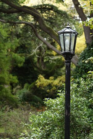 Old style street lamp at the edge of a park