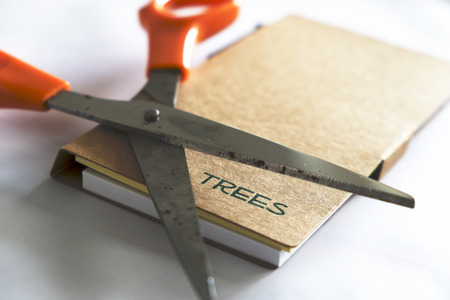 Trees was cut to be a note book.の写真素材