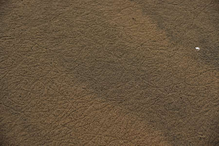 Claw marks of crabs on sandの写真素材